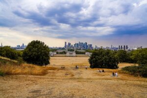Dry, brown grass in Greenwich Park, London during a heatwave